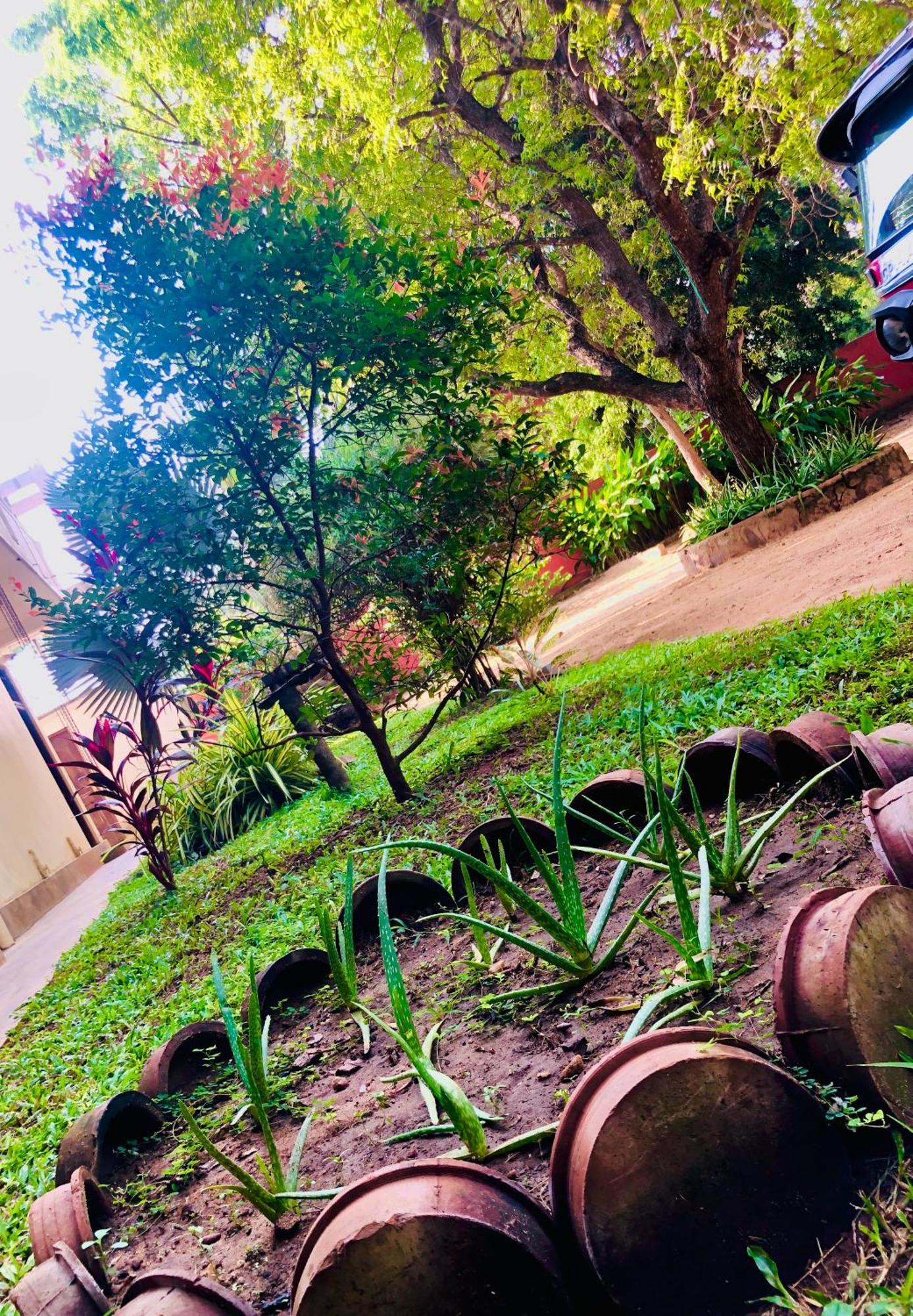 Saman Resort Yala 티사마하라마 외부 사진