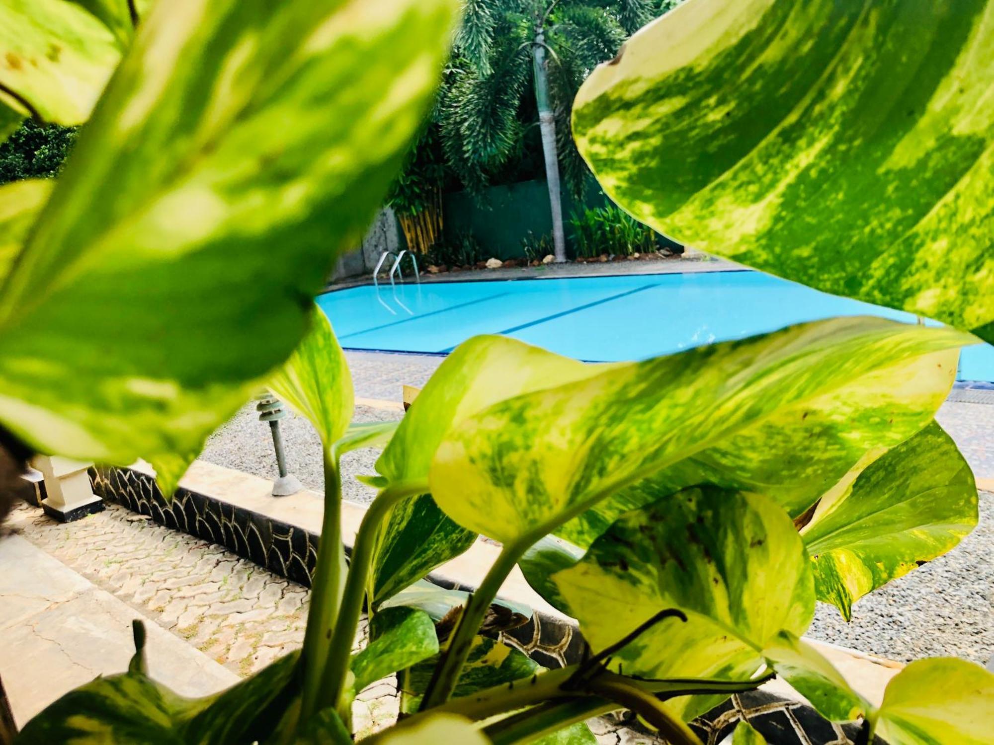 Saman Resort Yala 티사마하라마 외부 사진