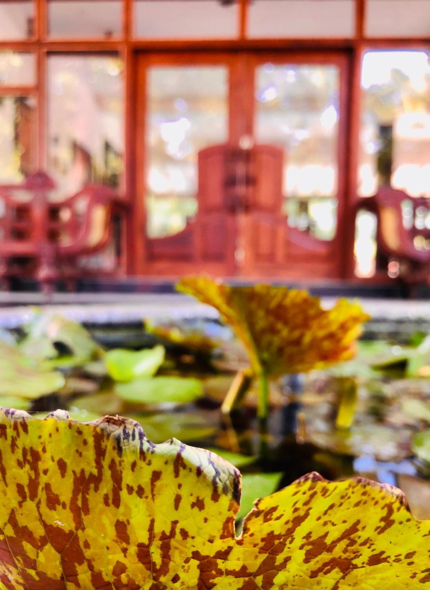 Saman Resort Yala 티사마하라마 외부 사진