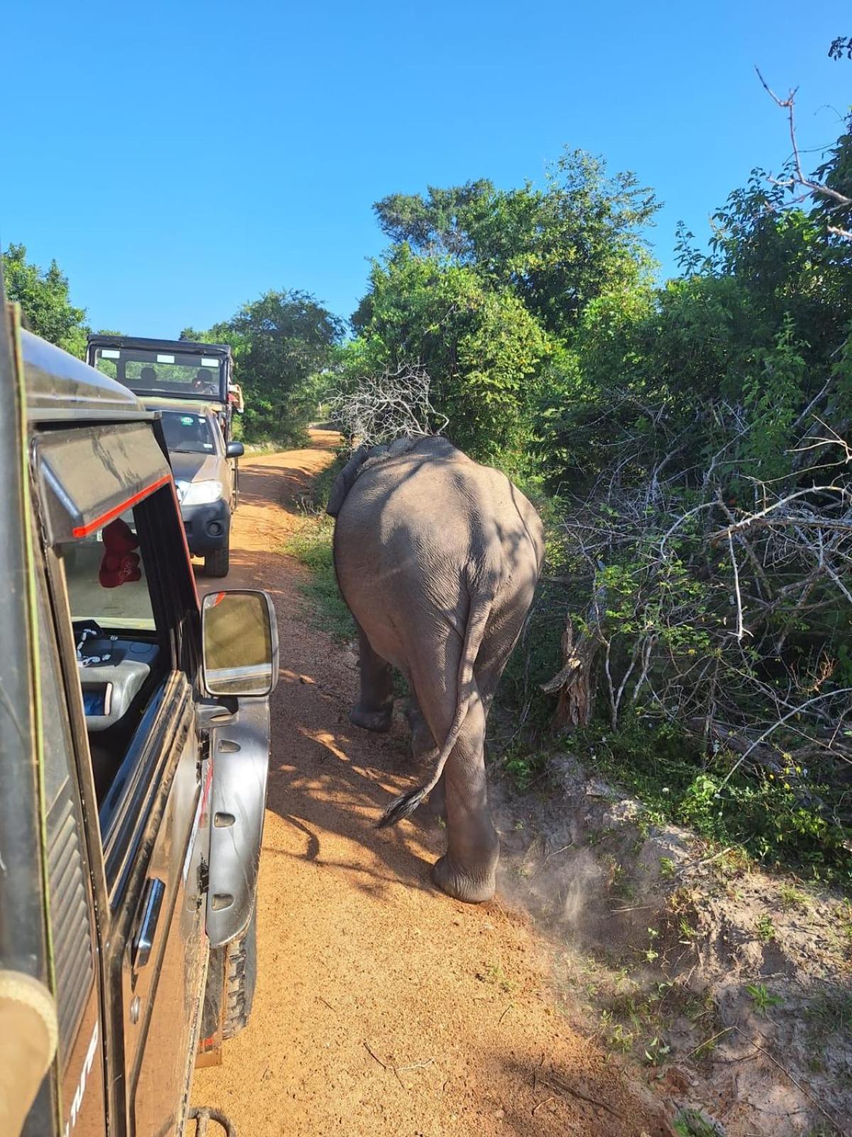Saman Resort Yala 티사마하라마 외부 사진