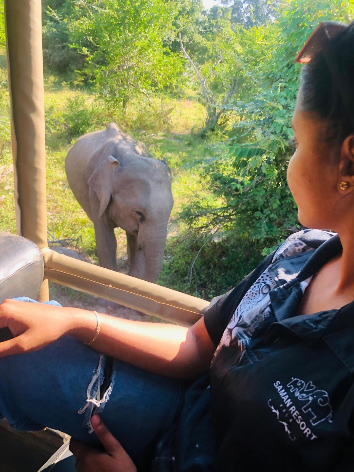 Saman Resort Yala 티사마하라마 외부 사진