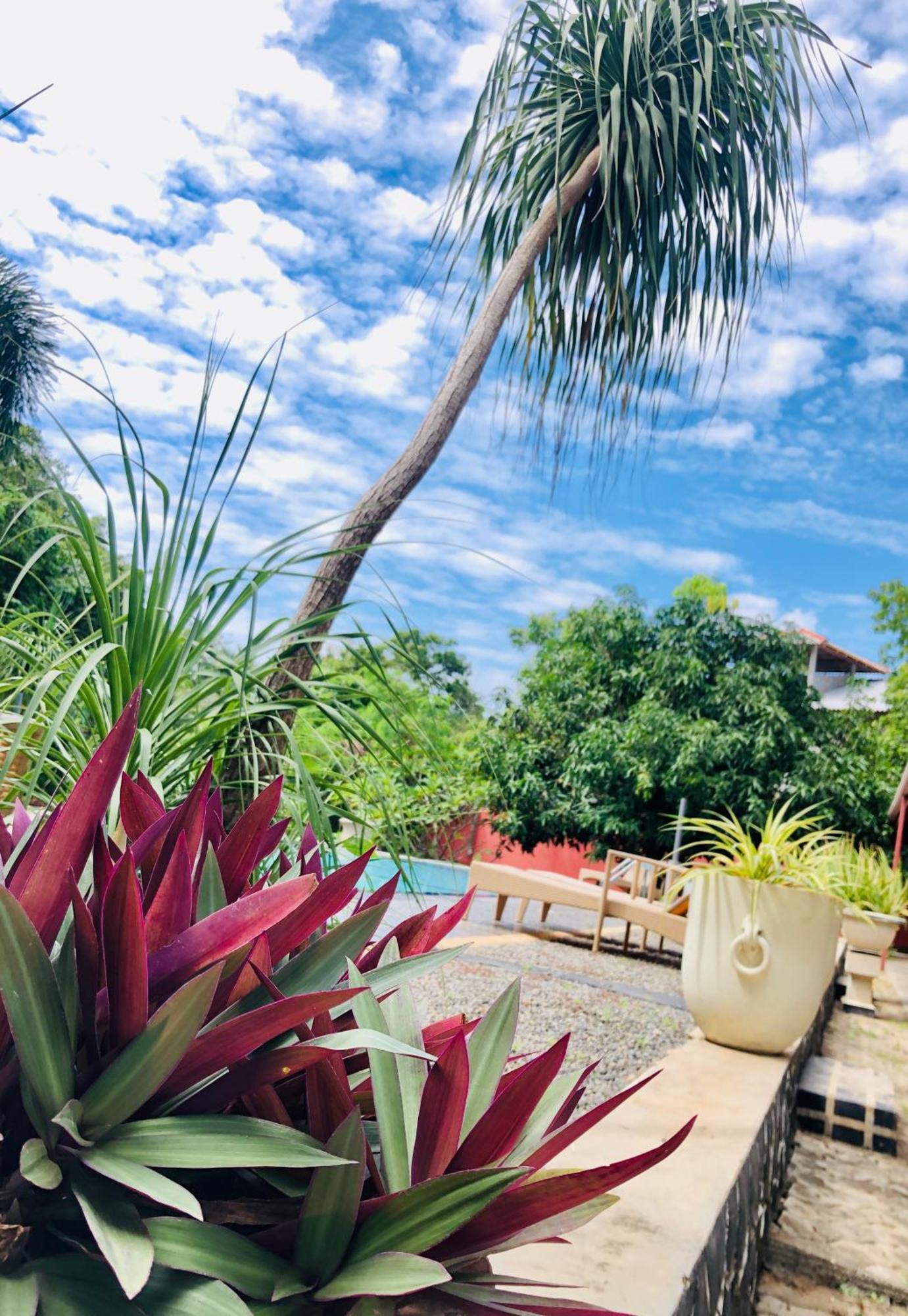 Saman Resort Yala 티사마하라마 외부 사진
