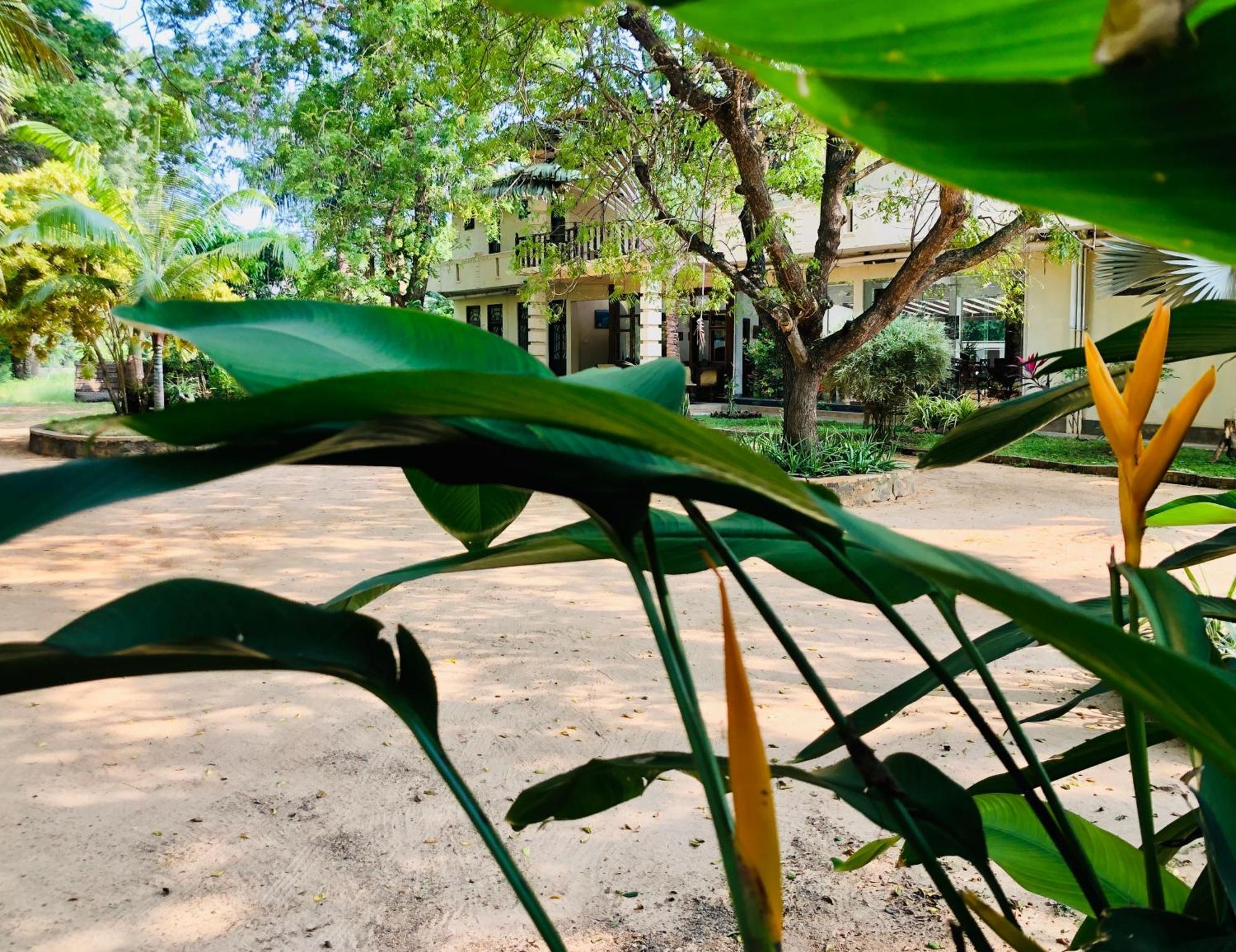Saman Resort Yala 티사마하라마 외부 사진